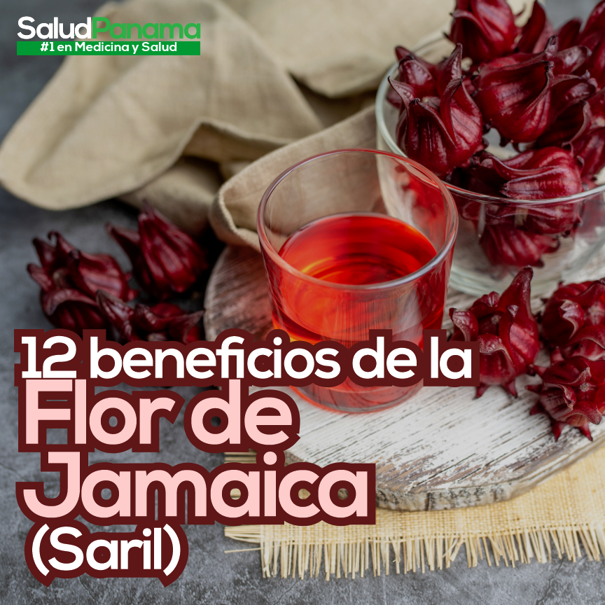 12 beneficios de la Flor de Jamaica (Saril)